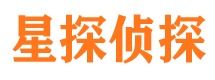 宛城市私家侦探公司